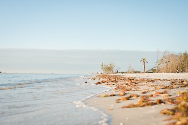 fortdesoto